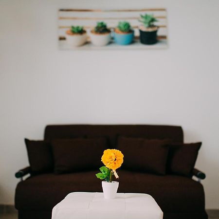 Bed Casa Vacanza Via Gallipoli - Corte Bari ブリンディジ エクステリア 写真